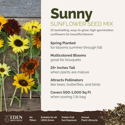 Eden Brothers Sunny Flower Mixed Seeds for Planting, 1 lb, 480,000+ Seeds with Ox-Eye, Maximilian, Dwarf Sunspot Sunflower | Attracts Pollinators, Plant in Spring, Zones 3, 4, 5, 6, 7, 8, 9, 10