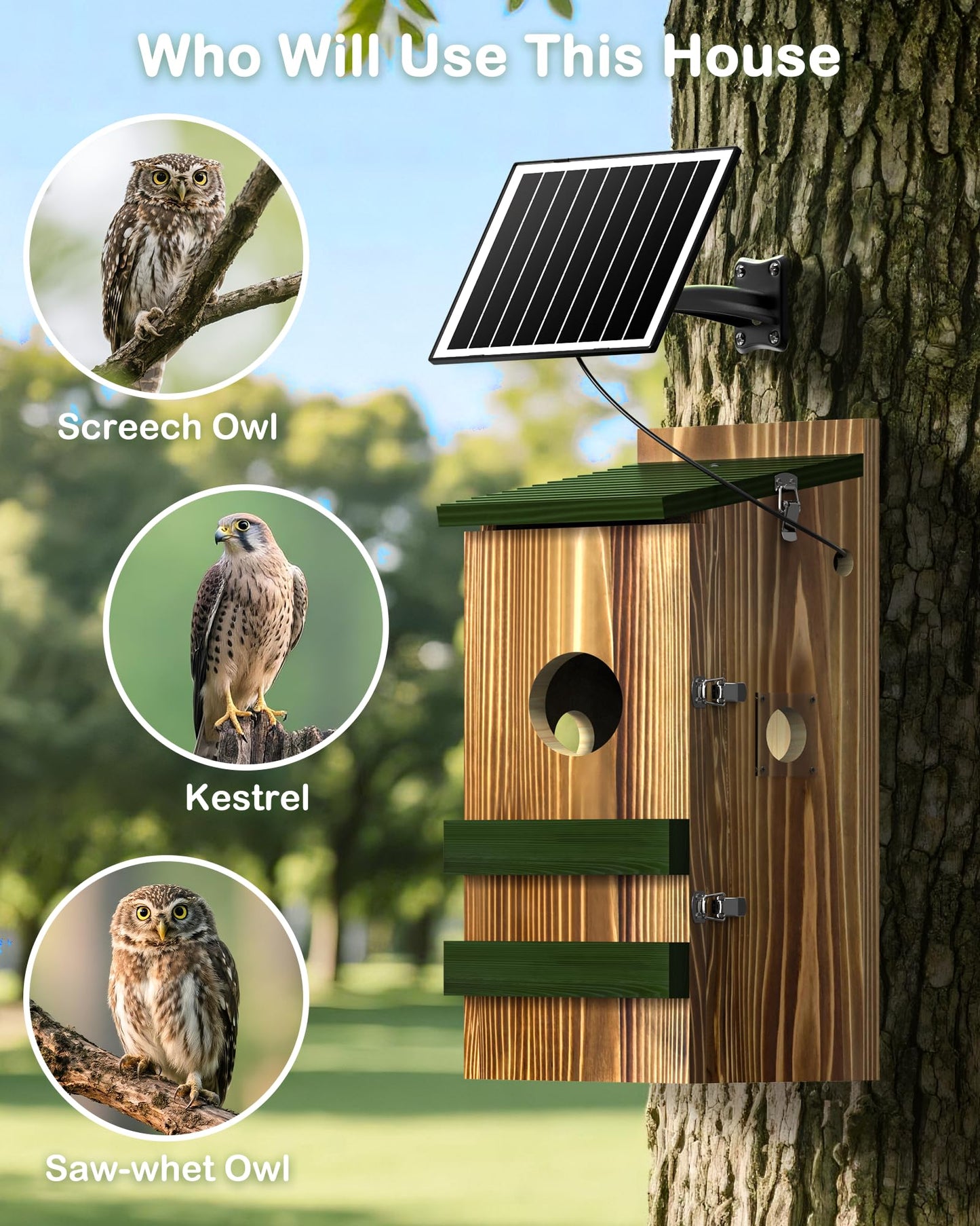 Owl House with Camera Solar Powered,4G Cellular, Anti-Corrosion Varnish Pinewood,Owls Nesting Box for Screech owl, 2K HD, Instant Alerts, Night Vision, APP Control,Nest Box for Outside（NOT WiFi）