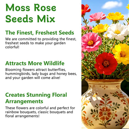 Moss Rose Seeds, 10,000+ Bulk Flower Seeds for Planting Outdoors(99% Pure Live, Non-GMO), Mixed Colors and Large Blooms, Attracts Pollinators, Easy to Grow