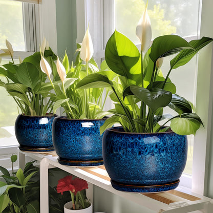 SQOWL 10 Inch Plant Pot - Ceramic Planter Pot with Drainage Hole and Saucer, Decorative Plant Pot for Indoor Outdoor Plants, Round Large Planter Flower Pot, Blue