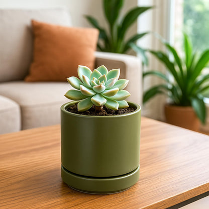 D'vine Dev 4.7 Inch Ceramic Planter Pot with Drainage Hole and Saucer, Indoor Cylinder Round Planter Pot, Olive, 94-O-B-J