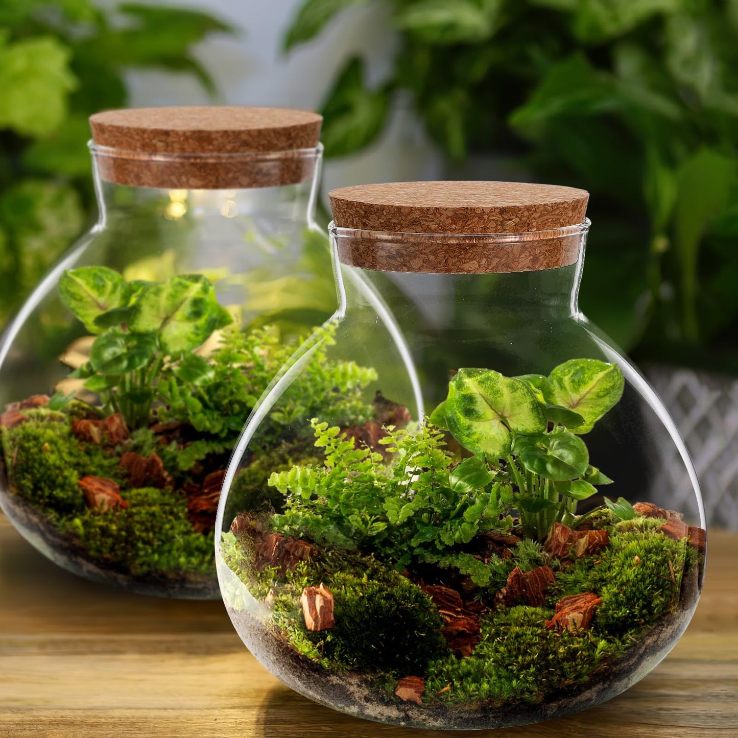 Cabilock Glass Terrarium Jar with Cork Lid, Ecological Bottle Micro Landscaping Bottle Storage Container Home Office Decor for Succulents Ferns and Decorative Plants