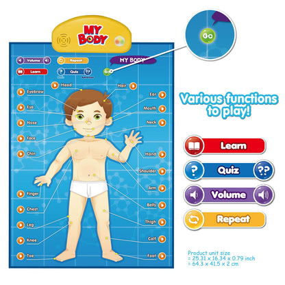 BEST LEARNING i-Poster My Body – Interactive Educational Human Anatomy Talking Toy for Kids Ages 5-12 to Learn Body Parts, Organs, Muscles and Bones Through Fun Sound and Quiz Modes