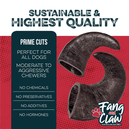 Fang and Claw Water Buffalo Horn Dog Chew 4 Pack (Medium 6 Inch), Long-Lasting Natural Chews for Aggressive Chewers, Single-Ingredient, No Rawhide