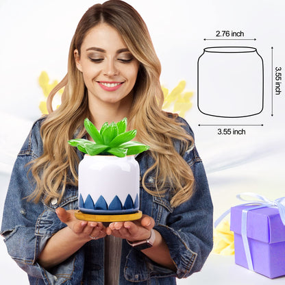Succulent Pots, 3.5 Inch Small Succulent Planters with Drainage for Plants Live, Hand-Painted Ceramic Pot Flower Pots Bonsai Pots with Bamboo Tray, Unique Gifts for Women/Men, 4 Pack (Abstract)
