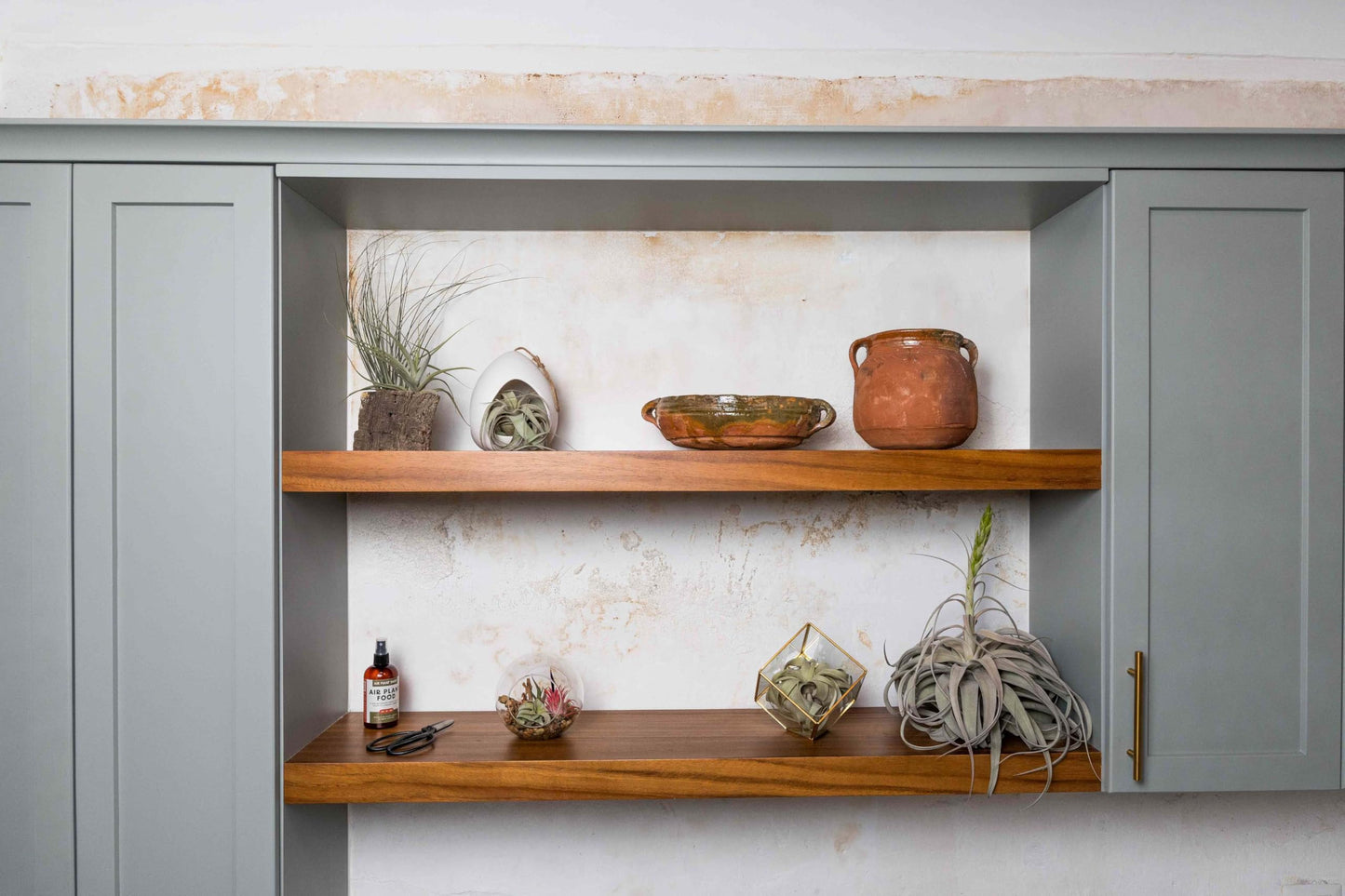 Large White Ceramic Hanging Pod with Two Assorted Air Plants - Live Tillandsia in Plant Holder - Wholesale and Bulk - Home and Garden Decor - Easy Care Indoor and Outdoor Plants South America