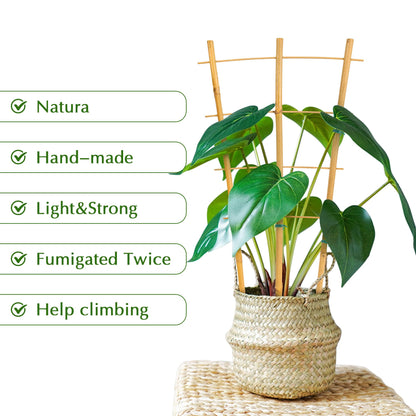 Bamboo Trellis, 12pack 16 Inch Small Plant Wood Bamboo Trellis for Climbing Plants Indoor Potted Plants