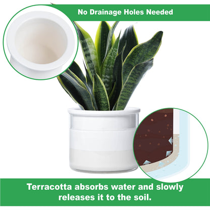 Phoenix Vine 6 Inch 4 Inch Self Watering Planter Pots, Design White Terracotta Pots for Plants, Indoor Cylinder Terra Cotta Pots with Glass Vase Set, 51-B-G-46