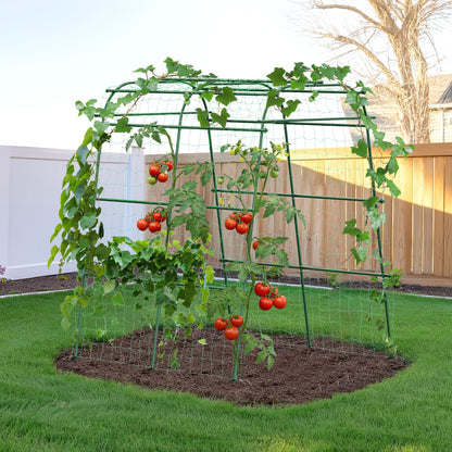 HIRALIY Garden Arch Trellis for Climbing Plants, 6.3ft Tall Heavy Duty Metal Cucumber Trellis, Rustproof Plant Support Tunnel for Tomato, Grape, Bean, Raised Bed and Vegetable Gardens, Green