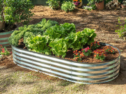 Plant & Plot Galvanized Raised Garden Beds Outdoor // 6×3×1 ft (2-Pack) Planter Raised Beds for Gardening, Vegetables, Flowers // Large Metal Garden Box // Patented Tool-Free Design (Silver)