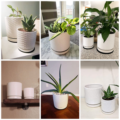 D'vine Dev Set of 2 Modern Matte White Honeycomb Embossed Ceramic Planter Pots with Saucer and Drainage Hole, 4 Inch & 6 Inch, 99-C-1-N