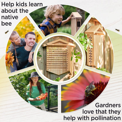 Rivajam Native Bee Observatory | Mason Bee Houses for Pollinating Bees | Pollinator Bee Houses for The Garden Lover | Leaf cutter Bee Home | Unique Gardening Gifts
