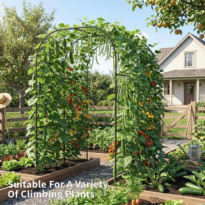 DoCred 3 in 1 Raised Garden Bed with 87in Tall Arch Trellis for Climbing Plants, Galvanized Planter Garden Box Outdoor for Gardening, Climbing Vegetables, Flower, Black