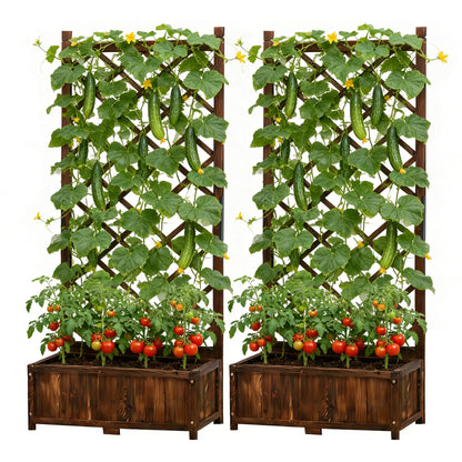 Anraja Raised Garden Bed with Trellis Wooden Planter Box Set of 2 Outdoor Wood Compact Privacy Screen for Climbing Plant Flower Patio Tomato Vegetable Herb Balcony Porch 29.5" L x 17.0" W x 67.0" H