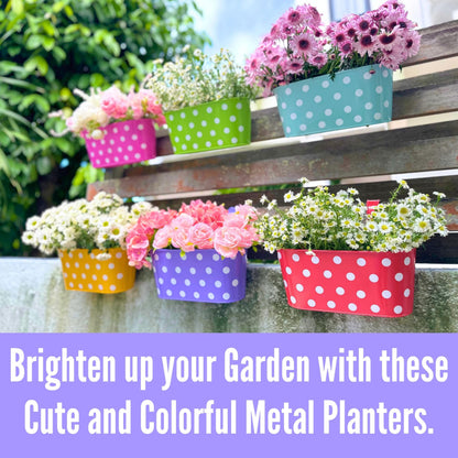 LaLaGreen Outdoor Hanging Planter (11.2 Inch, 6 Pack) Light Blue, Neon Pink, Dark Purple, Yellow, Red Metal Iron Window Box Polka Dot Herb Flower Pot Deck Railings Fence Wall Mount Porch Garden Decor