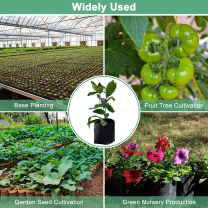 M METERXITY 50-Pack Nursery Growing Bags, 9.4" x 10.6" Thicken Plastic Nursery Bags, Gardening Seed Plant Bags for Potato/Flower/Tomato/Plant Starts/Home Gardening Supplies [Black]