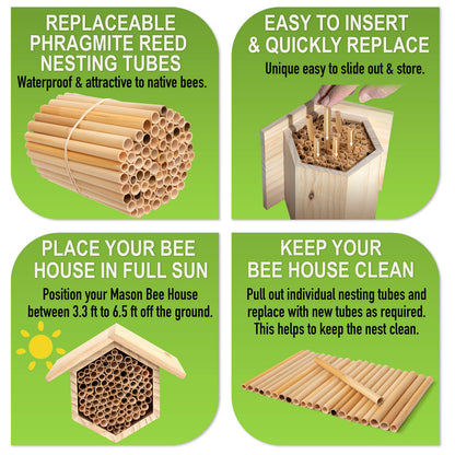 Rivajam Mason Bee House Wax Coated Nesting Bee Box | Refillable Phragmite Reed Mason Bee Tubes Filled Pollinator House | Mason Bee Houses for the Garden