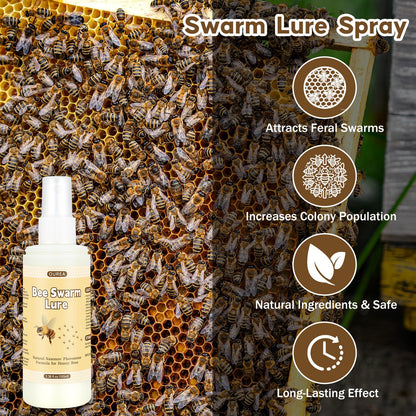 Beekeeping Hive Starter