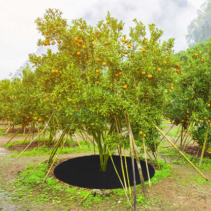 Shimeyao 16 Pcs 32. 2 Inch Non Woven Tree Mulch Ring Round Tree Weed Barrier Mat Reusable Landscape Protector Base Barrier Fabric for Weed Root Protection (Black)