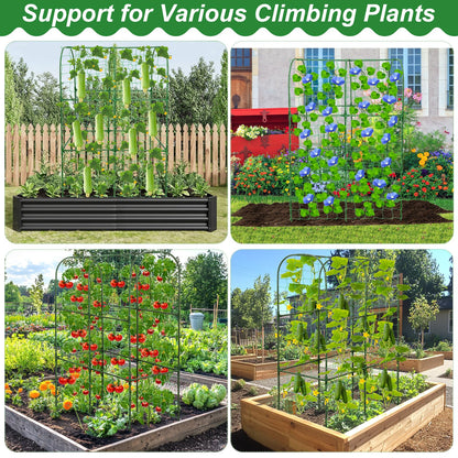 Cucumber Trellis for Raised Bed 50 x 34 Inch U-Shape Garden Trellis for Climbing Plants Outdoors Metal Garden Cucumbers Arch Trellis, Cucumber Plant Support for Tomato, Pea, Zucchini, Vine Flower