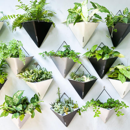 LaLaGreen Wall Planters for Indoor Plants - 2 Pack, 12 Inch Large Self Watering White Geometric Hanging Flower Vase Vessel with Metal Hanger, Modern Stylish Wall Mounted Succulent Pot Holder Decor