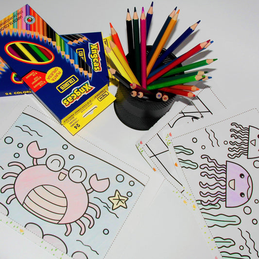 XNGCAS Colored Pencils Bulk, Kids School Supplies For Teachers, 6 Packs with 24 Colors
