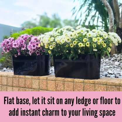 LaLaGreen Outdoor Plants Rail Planter (16 Inch, 10 Pack) Black Metal Iron Hanging Flower Pots Deck Railings Fence Balcony Modern Boho Style Wall Mount Window Boxes Plant Holder Hooks Porch Home Decor