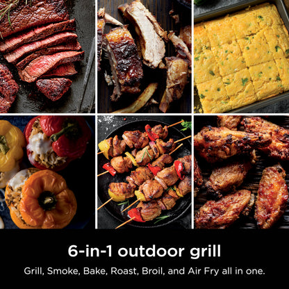 Ninja Woodfire Outdoor Grill & Smoker, 6-in-1 Functionality, Grill, Smoke, Bake, Roast, Air Fry, Broil, Authentic Woodfire Flavors, Electric Heat, OG321