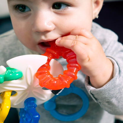 Baby Einstein Ocean Explorers Sea of Sensory Teether Toy BPA Free, Ages 3 Months and up (Pack of 2)