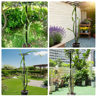 GOOOXIM 2-Pack 63-Inch Metal Dragon Fruit Trellis - Sturdy Support for Climbing Plants in Outdoor Gardens, Perfect for Dragonfruit, Tomatoes, Eggplants, and Beans - Durable, Stable & Easy to Install