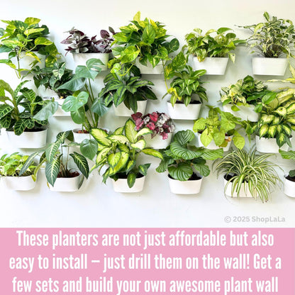 LaLaGreen Rail Planter Outdoor Plants (10 Pack, 11.8 Inch) White Metal Iron Hanging Flower Pots Deck Railings Fence Buckets Countryside Boho Style Wall Mount Window Box Plant Holder Hooks Porch Decor
