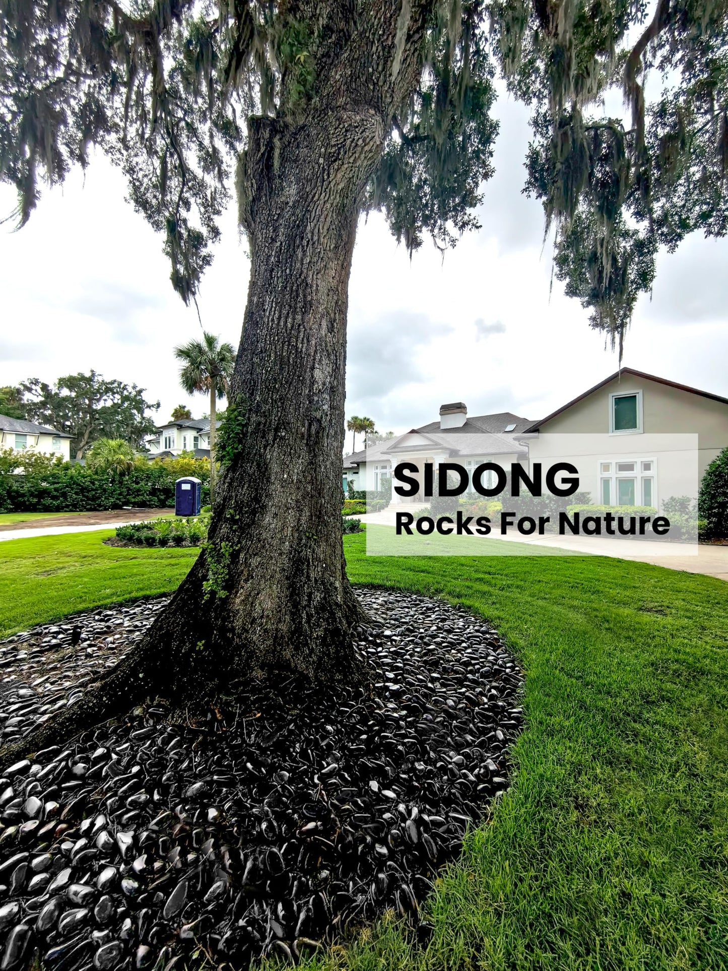 SIDONG 10 LB Black River Rocks, 0.3-0.5 Inches High Polished Pebbles for Indoor Plants, Aquarium Rocks Used in Fish Tank, Decorative Stones for Plants, Vases, Home Décor, Crafting, Garden Landscaping