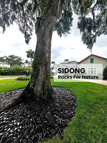 SIDONG 10 LB Black River Rocks, 0.3-0.5 Inches High Polished Pebbles for Indoor Plants, Aquarium Rocks Used in Fish Tank, Decorative Stones for Plants, Vases, Home Décor, Crafting, Garden Landscaping