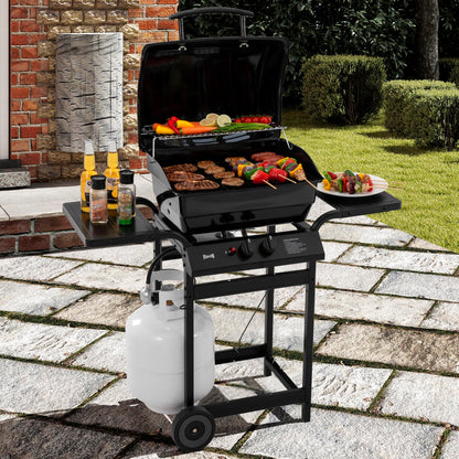 Feasto 2 Burner Propane Gas Grill with 26,500 BTUs Output, Porcelain-Enamel Main Body and Lid, Propane BBQ Grill with Warming Rack & Side Tables for Patio, Backyard, Poolside Gatherings
