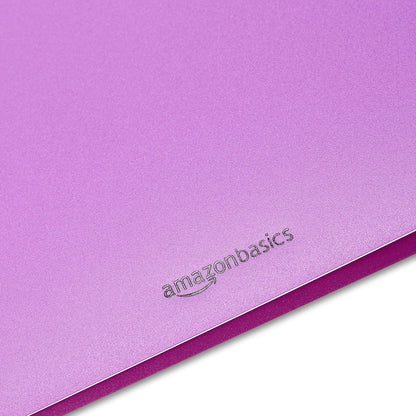 Amazon Basics Plastic 3 Hole Punch Folders with 2 Pockets, 8.5 x 11 inches, Pack of 12, Assorted Color