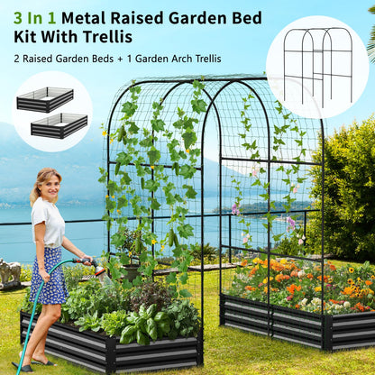 DoCred Galvanized Raised Garden Bed with 87" H Arch Trellis for Climbing Plants, Raised Outdoor Planter Garden Box with Climbing Netting for Gardening, Climbing Vegetables, Flower, Black