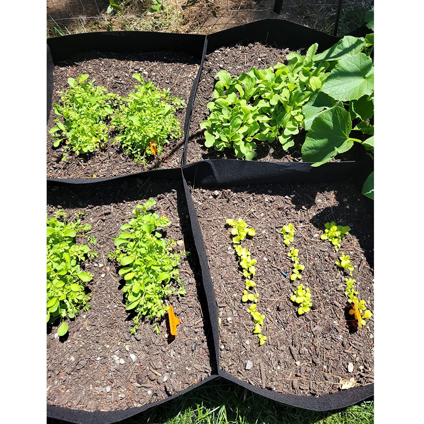 CJGQ Fabric Raised Garden Bed, 128 Gallon 8 Grids Plant Grow Bags, 3x6FT Planter Raised Beds for Growing Vegetables Potatoes Flowers, Rectangle Planting Container for Outdoor Gardening