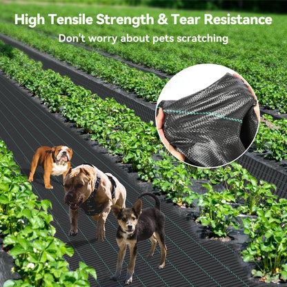 iropro 6ftx300ft Landscape Fabric 3.2oz Weed Barrier Fabric, Woven Weed Barrier Fabric Heavy Duty, Weed Control Cloth Geotextile for Underlayment, Gardening, Commercial Driveway Weed Block Cover Mat