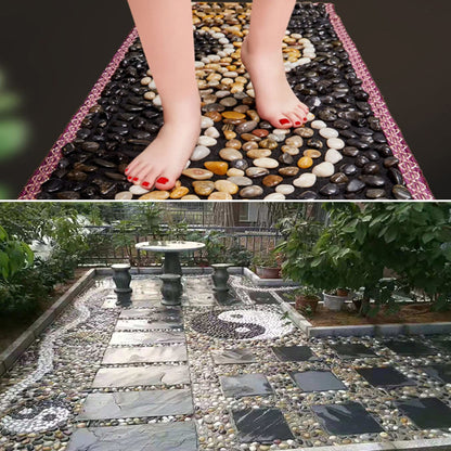 River Stones, Plants, Gardens, Landscapes, Succulents, Highly Polished Decorative Pebbles in Shapes and Sizes from 1-3 inches. (5.7LB, 1)