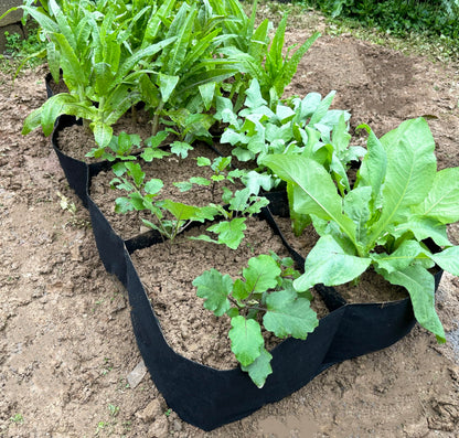 2 Pack Fabric Raised Garden Beds,128 Gallon 8 Grids Thickened Rectangle Plant Grow Bags,Reusable Outdoor Gardening Planting Container Planter Pot for Growing Herbs Flower Gardening Vegetables Chillies