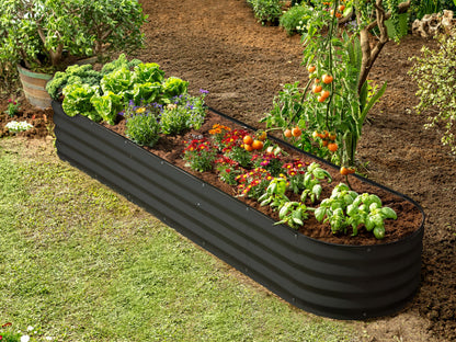 Plant & Plot Galvanized Raised Garden Beds Outdoor // 8×2×1 ft Planter Raised Beds for Gardening, Vegetables, Flowers // Large Metal Garden Box (Black) // Patented Tool-Free Design